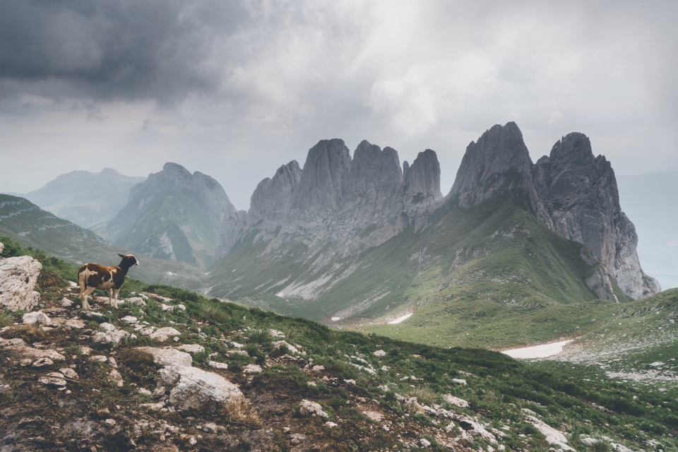 Northborn® // menneske og natur