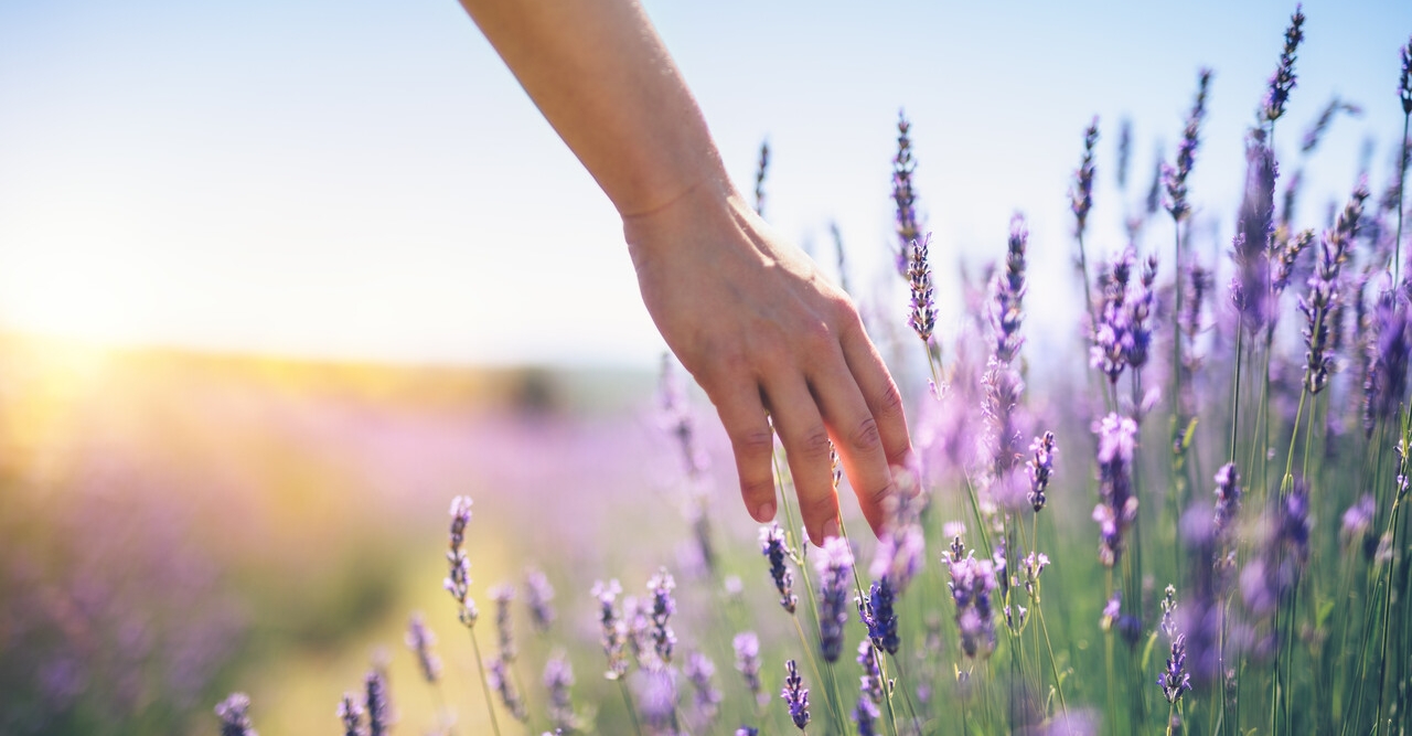 Hvorfor får du tørre hender og hva kan du gjøre?